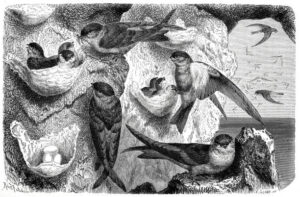 gettyimages-1486876976-612x612