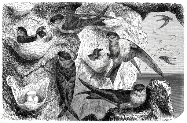 gettyimages-1486876976-612x612